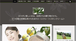 Desktop Screenshot of exito-japan.com
