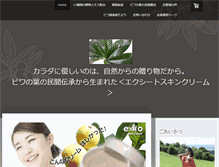 Tablet Screenshot of exito-japan.com